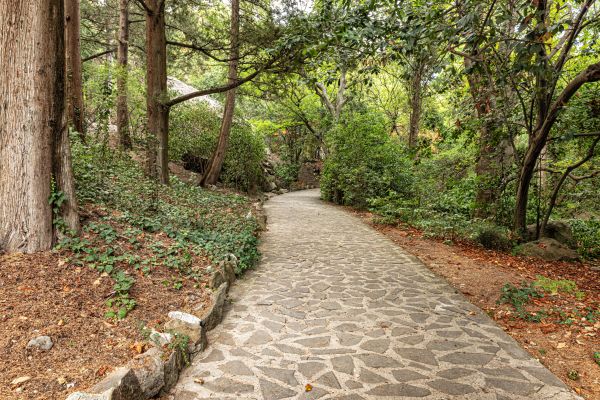 Stone Walkway Repair in Mansfield