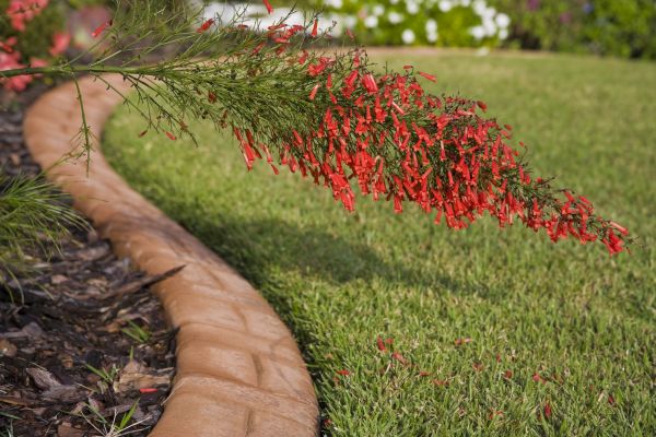 Brick Edging in Mansfield