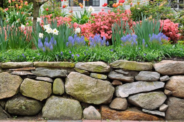 Stone Wall Hardscaping in Mansfield
