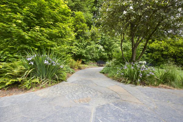 Stone Hardscape Service in Mansfield