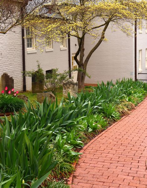 Brick Flatwork Repair in Mansfield